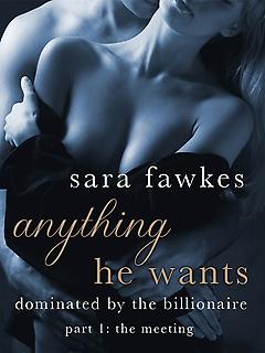 Erotic Romance Book - Anything He Wants: The Meeting