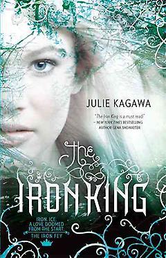 Young Adult Fantasy Book – The Iron King